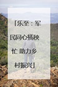 乐至:军民同心插秧忙 助力乡村振兴