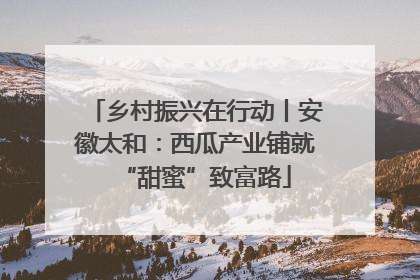 乡村振兴在行动丨安徽太和：西瓜产业铺就“甜蜜”致富路