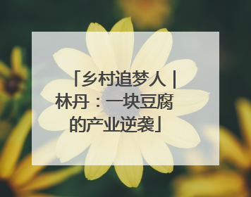 乡村追梦人｜林丹：一块豆腐的产业逆袭
