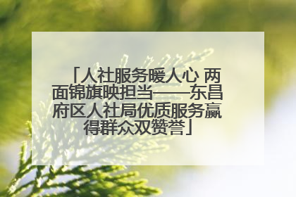 人社服务暖人心 两面锦旗映担当——东昌府区人社局优质服务赢得群众双赞誉