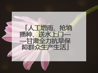 人工增雨、抢墒播种、送水上门——甘肃全力抗旱保障群众生产生活