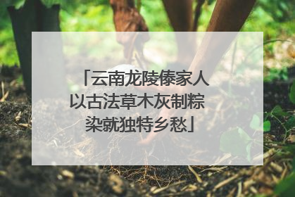云南龙陵傣家人以古法草木灰制粽 染就独特乡愁