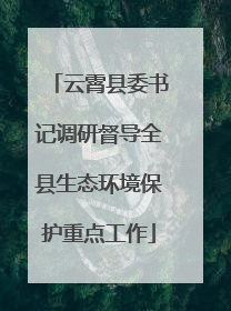 云霄县委书记调研督导全县生态环境保护重点工作