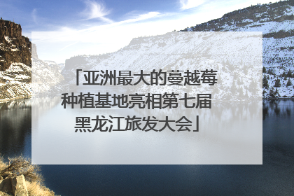 亚洲最大的蔓越莓种植基地亮相第七届黑龙江旅发大会