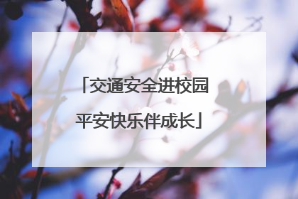 交通安全进校园 平安快乐伴成长