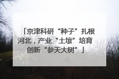 京津科研“种子”扎根河北，产业“土壤”培育创新“参天大树”