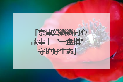 京津冀瓣瓣同心故事丨“一盘棋”守护好生态