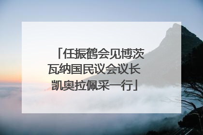 任振鹤会见博茨瓦纳国民议会议长凯奥拉佩采一行