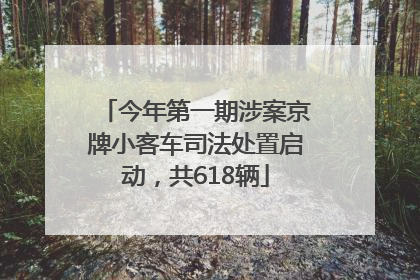 今年第一期涉案京牌小客车司法处置启动，共618辆
