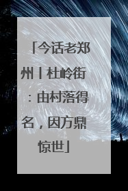 今话老郑州丨杜岭街：由村落得名，因方鼎惊世