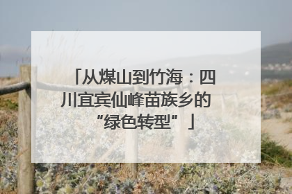 从煤山到竹海：四川宜宾仙峰苗族乡的“绿色转型”