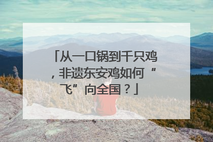 从一口锅到千只鸡，非遗东安鸡如何“飞”向全国？