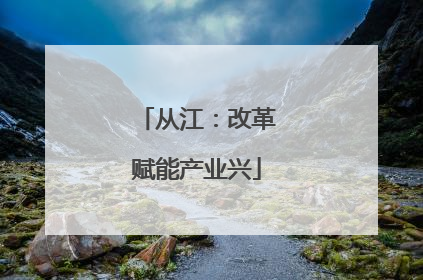 从江：改革赋能产业兴