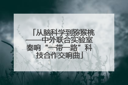 从脑科学到猕猴桃——中外联合实验室奏响“一带一路”科技合作交响曲
