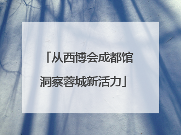 从西博会成都馆洞察蓉城新活力