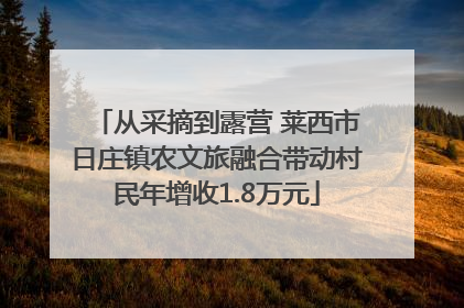 从采摘到露营 莱西市日庄镇农文旅融合带动村民年增收1.8万元