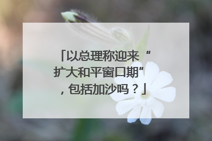 以总理称迎来“扩大和平窗口期”，包括加沙吗？