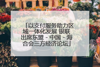 以支付服务助力区域一体化发展 银联出席东盟－中国－海合会三方经济论坛