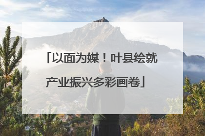 以面为媒！叶县绘就产业振兴多彩画卷