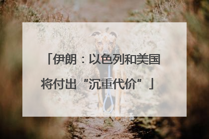 伊朗：以色列和美国将付出“沉重代价”