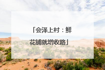 会泽上村：鲜花铺就增收路