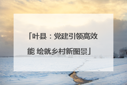 叶县：党建引领高效能 绘就乡村新图景