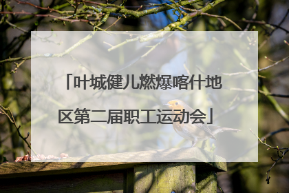 叶城健儿燃爆喀什地区第二届职工运动会
