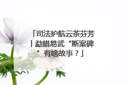 司法护航云茶芬芳丨勐腊易武“断案碑”有啥故事？