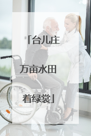 台儿庄万亩水田着绿裳