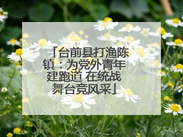 台前县打渔陈镇：为党外青年建跑道 在统战舞台竞风采