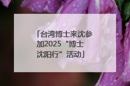 台湾博士来沈参加2025“博士沈阳行”活动