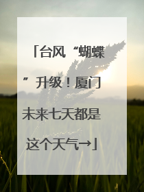 台风“蝴蝶”升级！厦门未来七天都是这个天气→