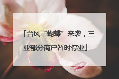 台风“蝴蝶”来袭，三亚部分商户暂时停业