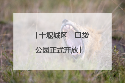 十堰城区一口袋公园正式开放