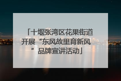 十堰张湾区花果街道开展“东风故里育新风”品牌宣讲活动