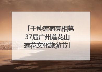 千种莲荷亮相第37届广州莲花山莲花文化旅游节