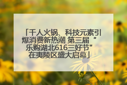 千人火锅、科技元素引爆消费新热潮 第三届“乐购湖北616三好节”在夷陵区盛大启幕