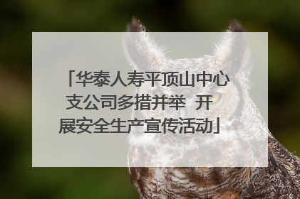 华泰人寿平顶山中心支公司多措并举  开展安全生产宣传活动