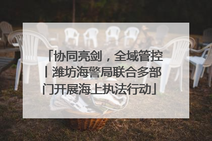 协同亮剑，全域管控丨潍坊海警局联合多部门开展海上执法行动