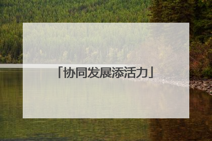 协同发展添活力
