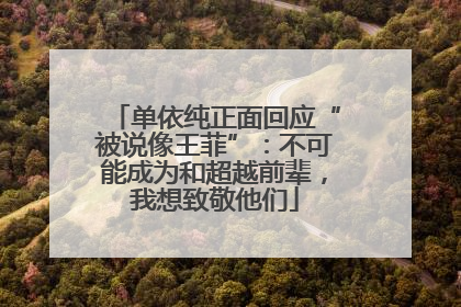 单依纯正面回应“被说像王菲”：不可能成为和超越前辈，我想致敬他们