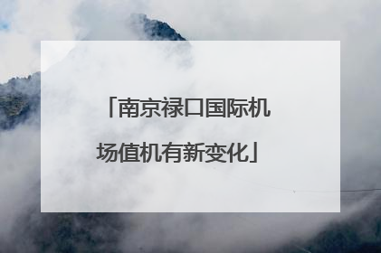 南京禄口国际机场值机有新变化