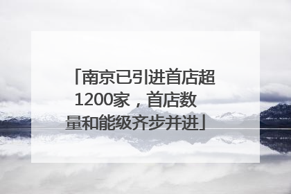 南京已引进首店超1200家，首店数量和能级齐步并进
