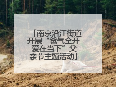 南京沿江街道开展“爸气全开 爱在当下”父亲节主题活动