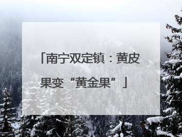 南宁双定镇：黄皮果变“黄金果”