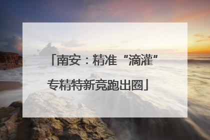 南安：精准“滴灌”专精特新竞跑出圈