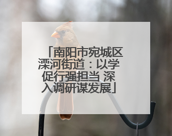 南阳市宛城区溧河街道：以学促行强担当 深入调研谋发展
