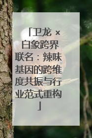 卫龙 × 白象跨界联名：辣味基因的跨维度共振与行业范式重构