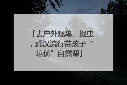 去户外观鸟、捉虫，武汉流行带孩子“培优”自然课