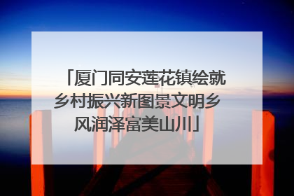 厦门同安莲花镇绘就乡村振兴新图景文明乡风润泽富美山川